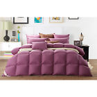 0068-purple Snowman All Season Premium Standar Goose Comforter Egyptian