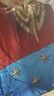 00tw-1-5-w95-03 Dc Comics Wonder Woman Twin Bedding Set Themyscira 602401789036
