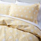 042075438241 Target Hex Modern Geo