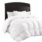 350gsm 0635414228414 0635414209017 Sable Queen Comforter Duvet Insert All Season Quilted