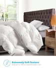 0724754888843 Equinox Hypoallergenic Goose Down Alternative All Season White