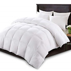 1 Kasentex Luxurious White Down Comforter All Seasons Solid 8002128022812