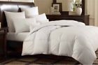 13217159485 Luxury Homes Twin Hypo-allergenic