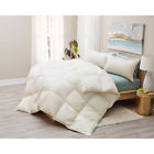 232533-1992587-251 First Twin Down All Season Organic Comforter 601754726606