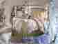 2ap-003c0-6950 Iris Croscill Brand New Queen Size Comforter 4 Piece Set Floral Theme 083013094495