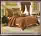 2c0-00500-0723 Palazzo Croscill Clearance New Wc King Size Comforter 4 Piece Set Rustic Floral 083013310144