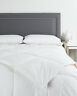 30305463360000 Royal River Trading Cuddledown Softest Loft Comforter Queen 888879240280