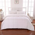 40020233101031 Epoch Hometex Cottonloft Cotton Filled Medium Warmth Comforter 848342040342