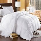 4054422248461 Deluxe Tradition Extravagance All Tied Into One White