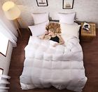 4335354912 Sleep Rhythm Luxurious Goose Down Comforter Queen Size 642940194656