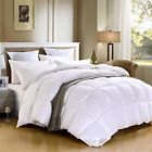 Comforter-600 4335355178 Sheone Lightweight White Goose Down Fill Cotton Shell 601948003865