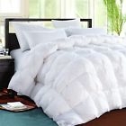 4335823546 Rosecose Luxurious Heavy Goose Down Comforter Queen Size 797566089609