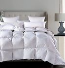 4335823547 Rosecose Luxurious All Seasons Goose Down Comforter King 797566089692