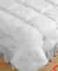 0255211 44897 Pacific Coast Cozy Loft King Down Comforter 025521448971