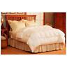 48981 Pacific Coast Down Comforter White Queen Fill Dk 0025521489820