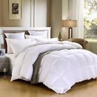 Comforter-600 601948003872 Sheone Lightweight White Goose