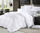615867197253 Elliz Luxurious Lightweight White