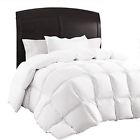 634705346639 Sable New White Queen