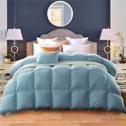 800fp 6799681181026 Mrniu Duvet Insert Queen Goose Down Comforter Blanket