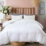 680577427952 Ubauba Feather Comforter Twin Size And Down Filled
