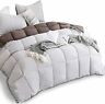 712424150437 Kasentex All Season Down Alternative Quilted Comforter Set