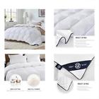 713869324940 Rest Sync Lightweight White Goose Down Comforter Quilted