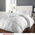 788904116521 Hotel Collection Comforter Hypoallergenic