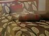 812568028286 Bedford Piece Queen Comforter Set By Product Id