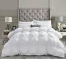 825625007650 Egyptian Cotton Factory Outlet Store Luxurious Goose Down