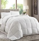 840079115966 Chezmoi Collection White Down
