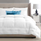 868375 Pacific Coast European Year 025521681743