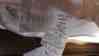 1695 91x91 Nwt Cortina Queen Frette Full Msrp Siberian Comforter
