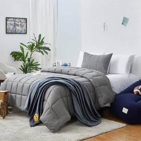 K702863 Aeropostale Gray Twin 2-pc Comforter Set With Matching Sham Box Stitch Quilted
