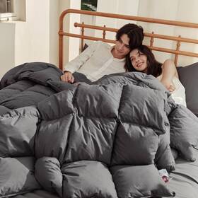 Airgdsw10-13 Airluck Feather Down Comforter Twin Size Fluffy Winter Bedding Comforters Wit