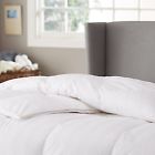 Ama100co0011-090-096 Pinzon Hypoallergenic White Goose 841710111736