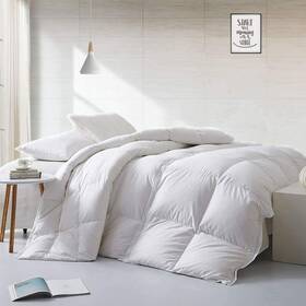 Apsmile 445028435411 Lightweight Warmth Goose Down Comforter Full/queen Duvet Sleeper Comfort