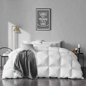 Apsmile 645312333455 Over Size King Feathers Down Comforter - Ultra Soft All Seasons 100% Organic