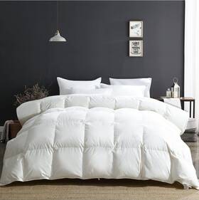 Apsmile 952803320332 Goose Down Comforter Super King All Season Duvet Insert 120x120 Ivory