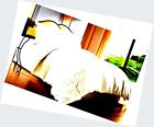 B00pwwe9t4 Clara Clark King Size Comforter Goose Down Duvet 701304804010