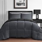 B01avm57ky King Queen Store565 Comforter 757450558710