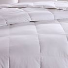 B01k1dka1e Ibestuff Goose Down Comforter 889957073202