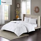 Basi10-0297 Sleep Philosophy Level Warmest Thinsulate Down Alternative Comforter 675716653804