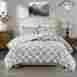Bast10-0339 True North Reversible Plush Down Alternative Comforter Mini Set Twin 675716674823