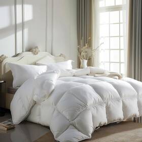 Br004186 Beautyrest Luxurious Queen Full Size Goose Feather Down Fiber Comforter Duvet Insert Fluffy