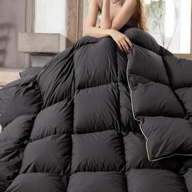 Bedding 726084799844 Goose Down Feathers Fiber Comforter Queen Size All Season-ultra Soft And Cozy No