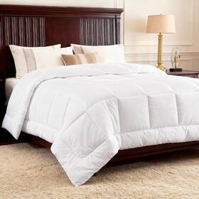 Bedshe 726084634800 Bedsure Comforters Queen Size Duvet Insert Quilted Down Alternative Comforter