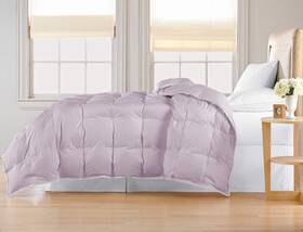33093 Blue Ridge Home Fashions Inc. Microfiber White Goose Twin In Lilac Color Down/down Blend C