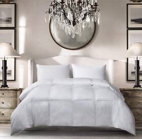 Blue Ridge Home Fashions 788904028541 Season Light Weight Down Alternative Comforter-hypoallergenic Microfiber Fill