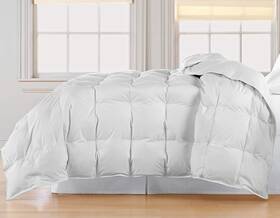 Blue Ridge Home Fashions 788904031664 Inc. Microfiber Goose Twin In White Color Down/down Blend Comforter
