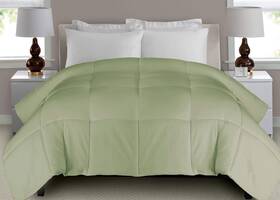 Blue Ridge Home Fashions 788904032043 Microfiber White Down Fiber Comforter Twin Pale Green